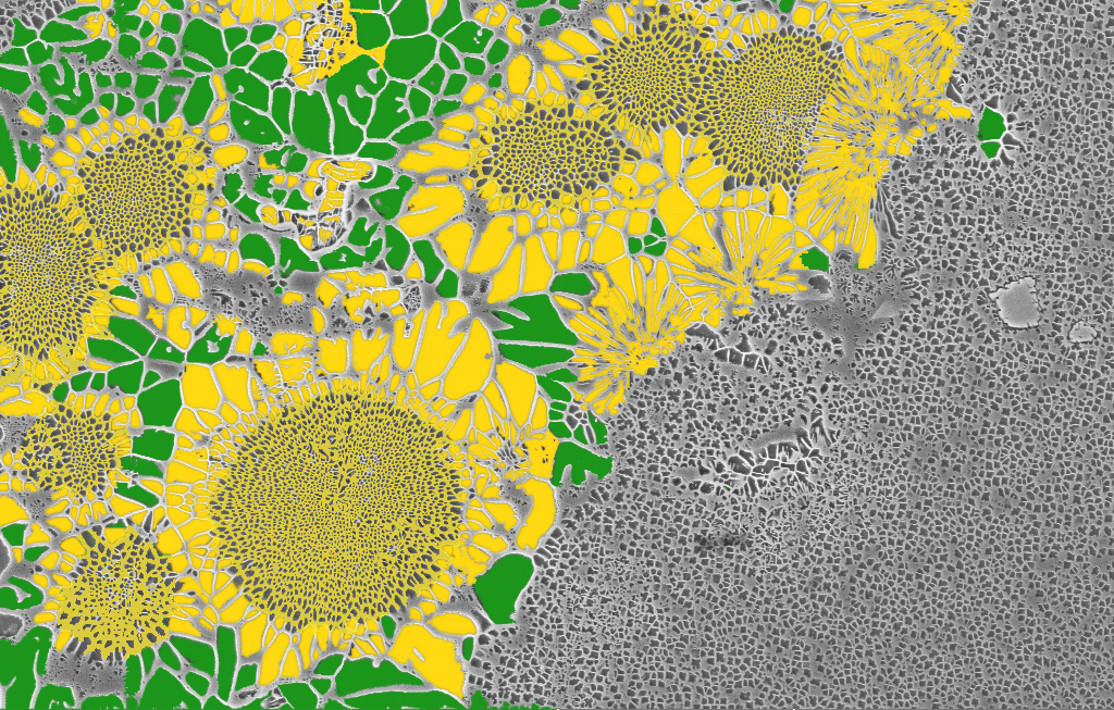 沈陽分院獲2022年中國科學(xué)院科普視頻圖片大賽優(yōu)秀組織獎