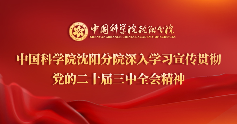 專題：深入學(xué)習(xí)宣傳貫徹黨的二十屆三中全會精神