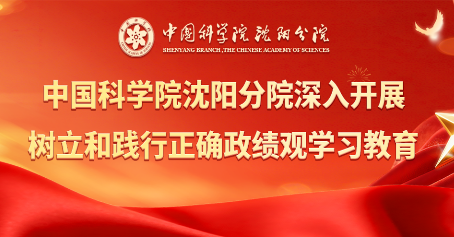 專題：深入開展樹立和踐行正確政績觀學習教育